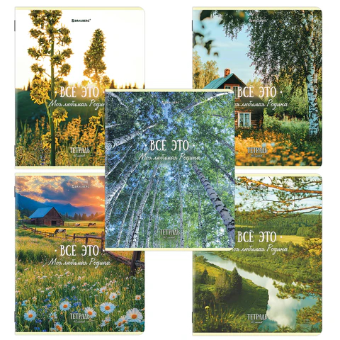 ������� BRAUBERG ������� �������, 5 ����