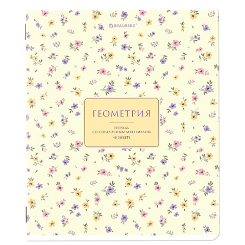 ������� ���������� ″BLOSSOM″ BRAUBERG, ���������, 48 ������