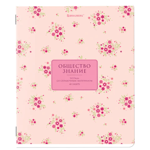 ������� ���������� ″BLOSSOM″ BRAUBERG, ��������������, 48 ������