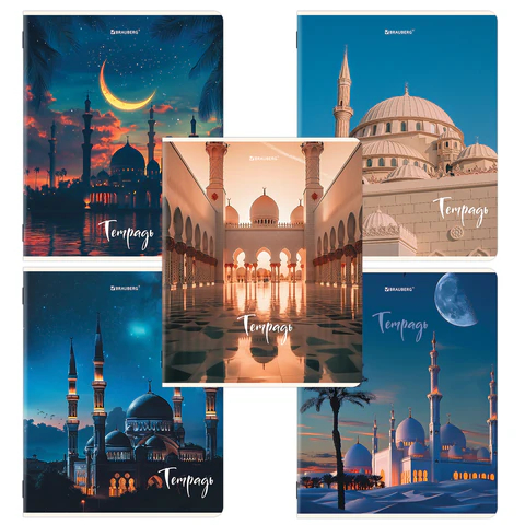 ������� BRAUBERG, ″�����″, 5 ����