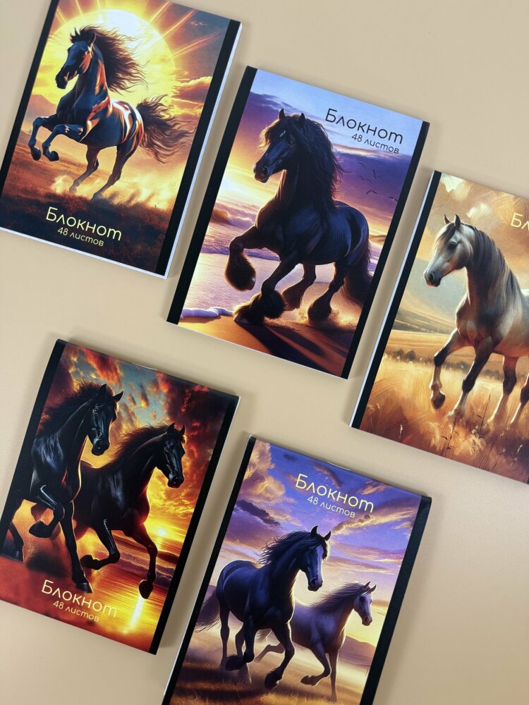 2026 -  !    «» -   ″ ″