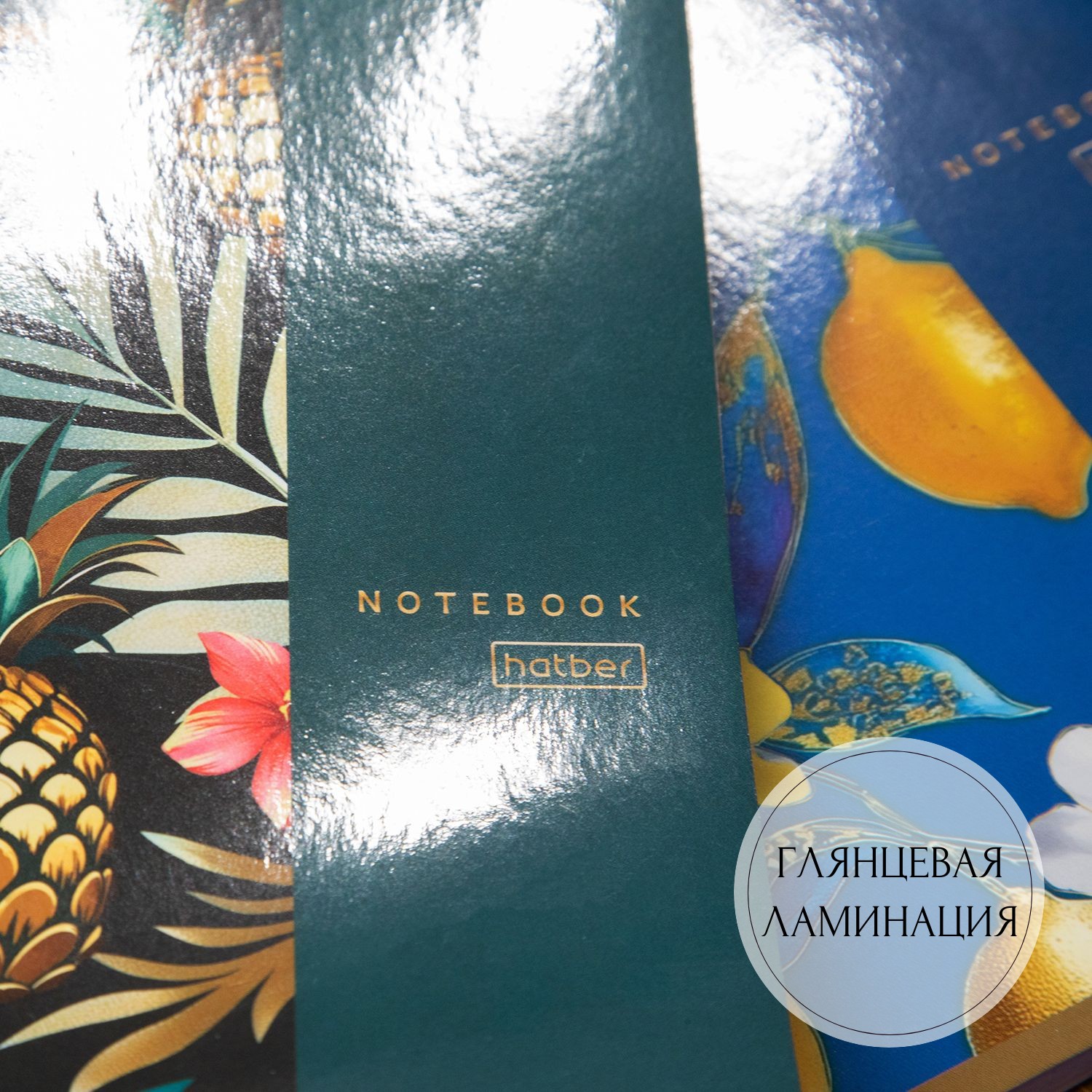 Тетради «Золотые фрукты» от Hatber: про яркие дары природы! Тетради «Золотые фрукты» от Hatber: про яркие дары природы!