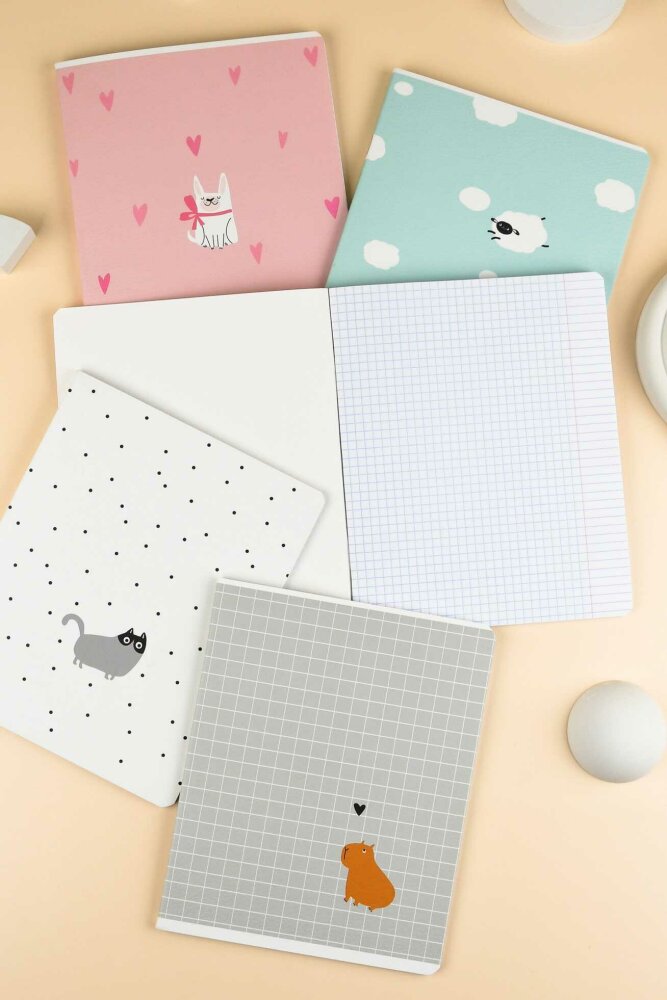 Тетрадь, А5+, 48 л, вн.блок - клетка, мягкий переплёт (2 скобы) Тетрадь, А5+, 48 л, вн.блок - клетка, мягкий переплёт (2 скобы)