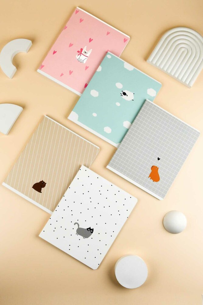 Тетрадь, А5+, 48 л, вн.блок - клетка, мягкий переплёт (2 скобы) Тетрадь, А5+, 48 л, вн.блок - клетка, мягкий переплёт (2 скобы)