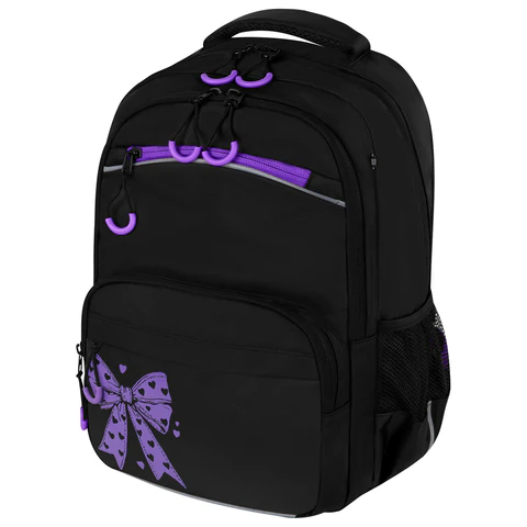 ������ BRAUBERG FORCE