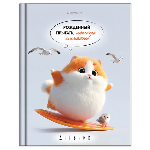 ������� 5-11 ����� BRAUBERG, ″�������� ���������″