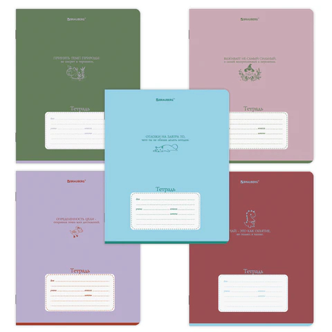 Тетрадь 18 л. BRAUBERG линия, PHRASES Тетрадь 18 л. BRAUBERG линия, PHRASES