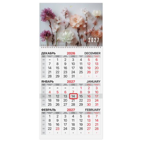 ��������� ����������� �� 2027 BRAUBERG, ″�����″