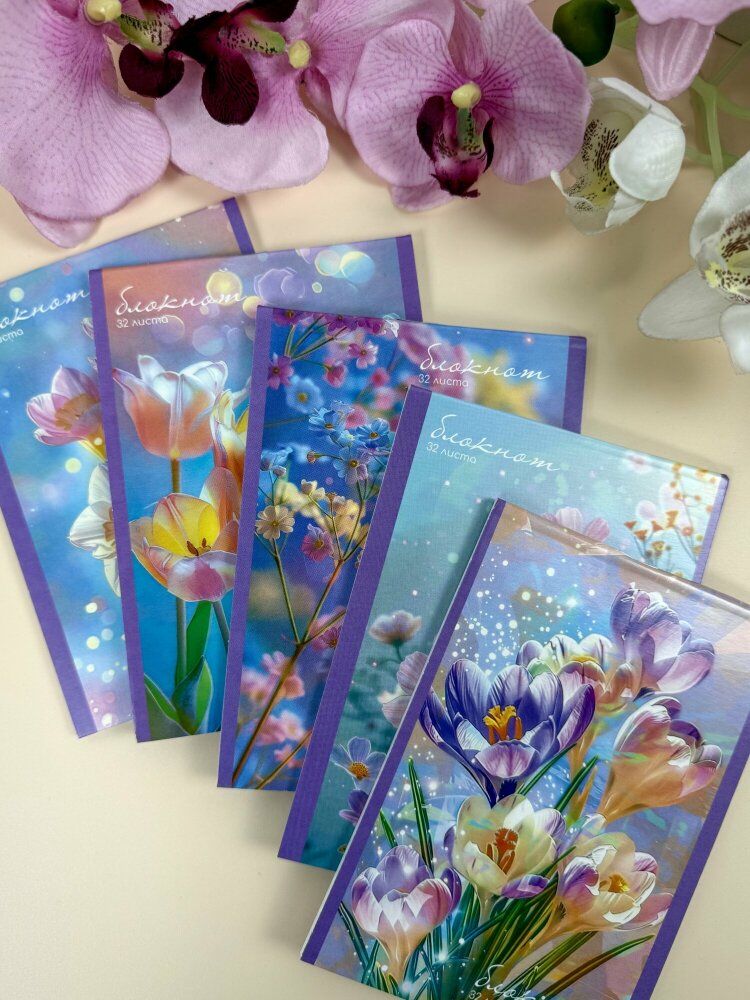 ������� �� &laquo;������&raquo; - ������ � ����� ������� �6 &laquo;�������� �����������&raquo;!