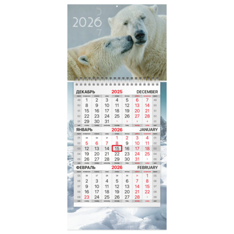   2026 .,  BRAUBERG, ″″