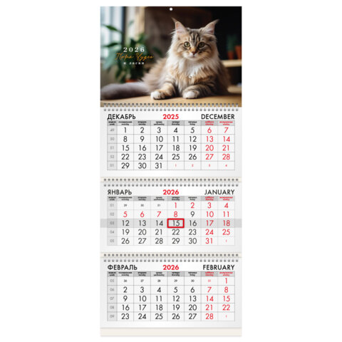  , BRAUBERG, ″″