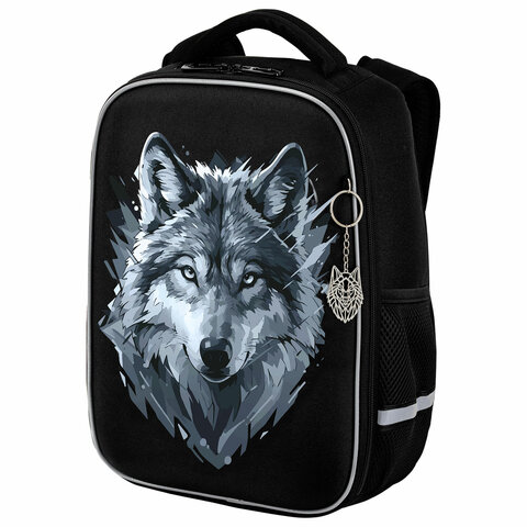  BRAUBERG LIGHT, Gray wolf