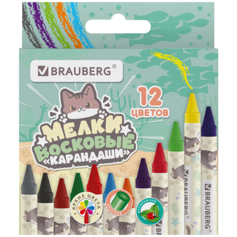   BRAUBERG ″ ″