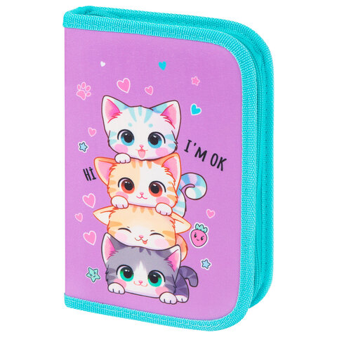  BRAUBERG ″Funny kittens″ , 1 