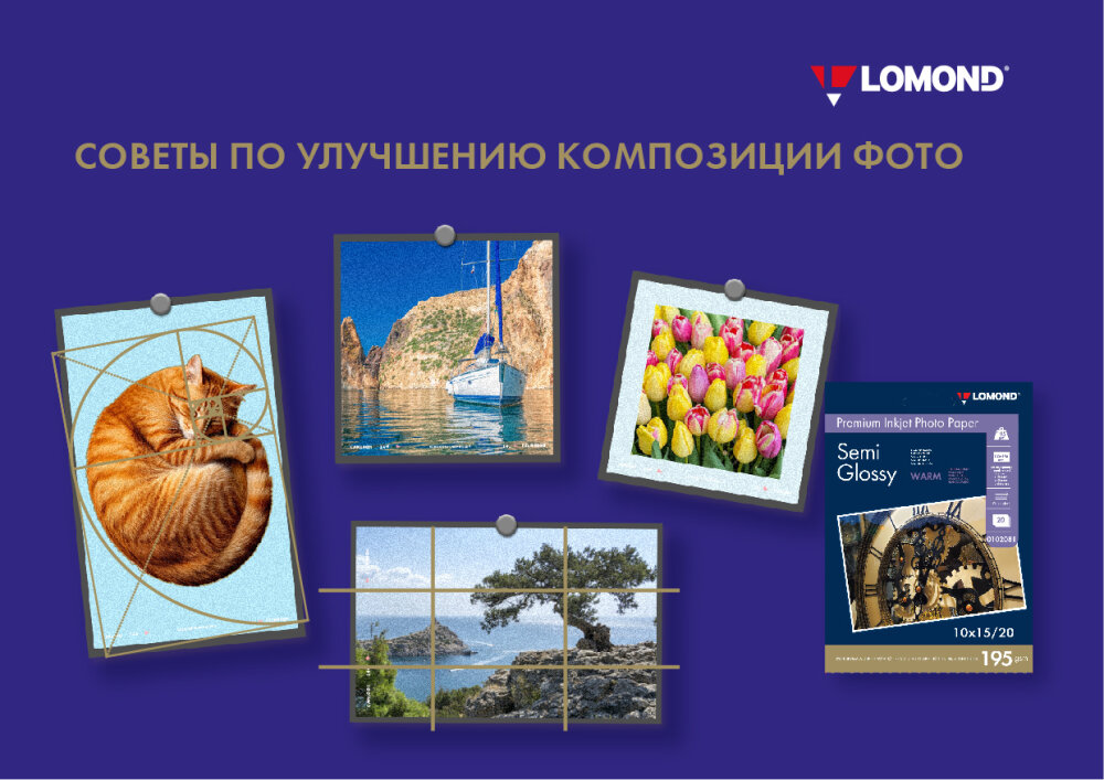 Советы по улучшению композиции фото Советы по улучшению композиции фото