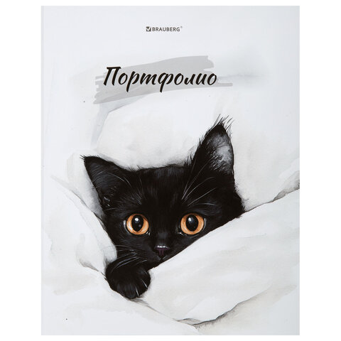 - BRAUBERG ″Cat″