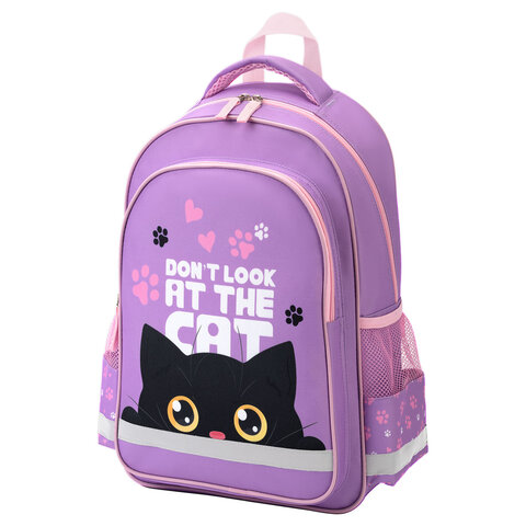 ������ ������� SCHOOL, ″Observer cat″