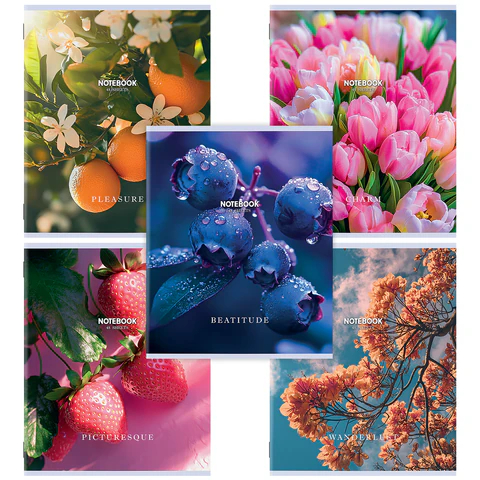 ������� STAFF, ������, ����� �2 ������, ″�����″, 48 ������