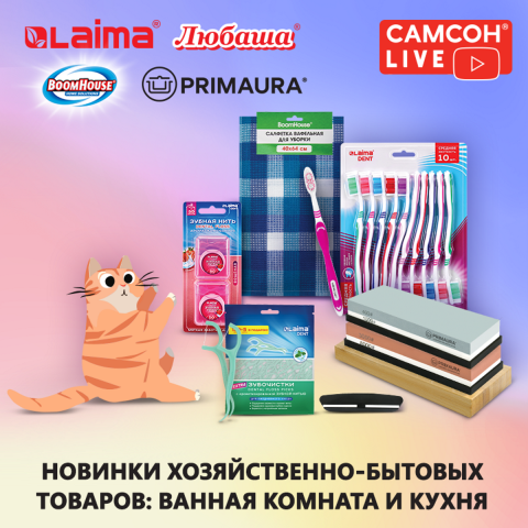 ������ LIVE: ������������-������� � ������������� ������!