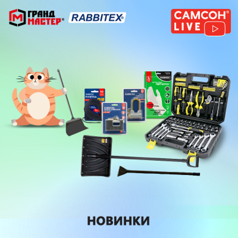 ������ LIVE: ����������� � ������ ��������� ����������� � RABBITEX.